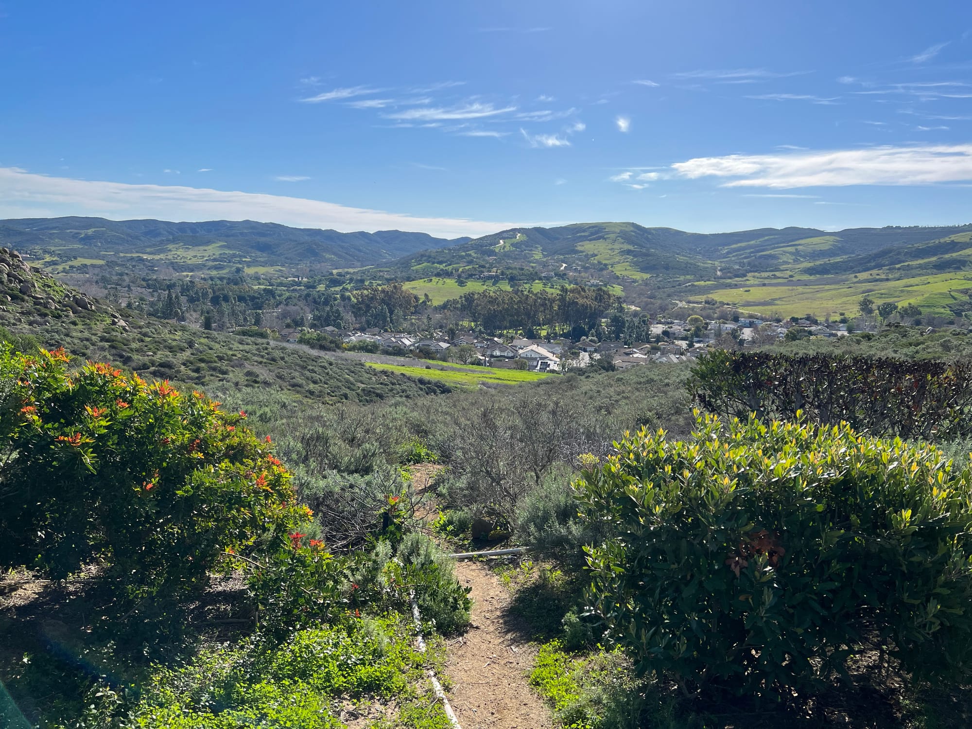Irvine Hidden Gems