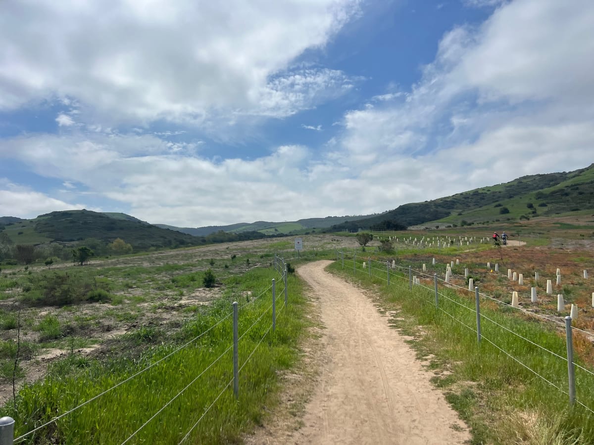 Weekend Activities - June 21/22