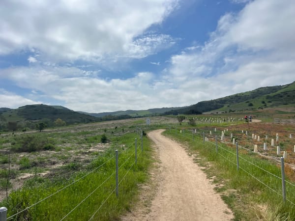 Weekend Activities - June 21/22